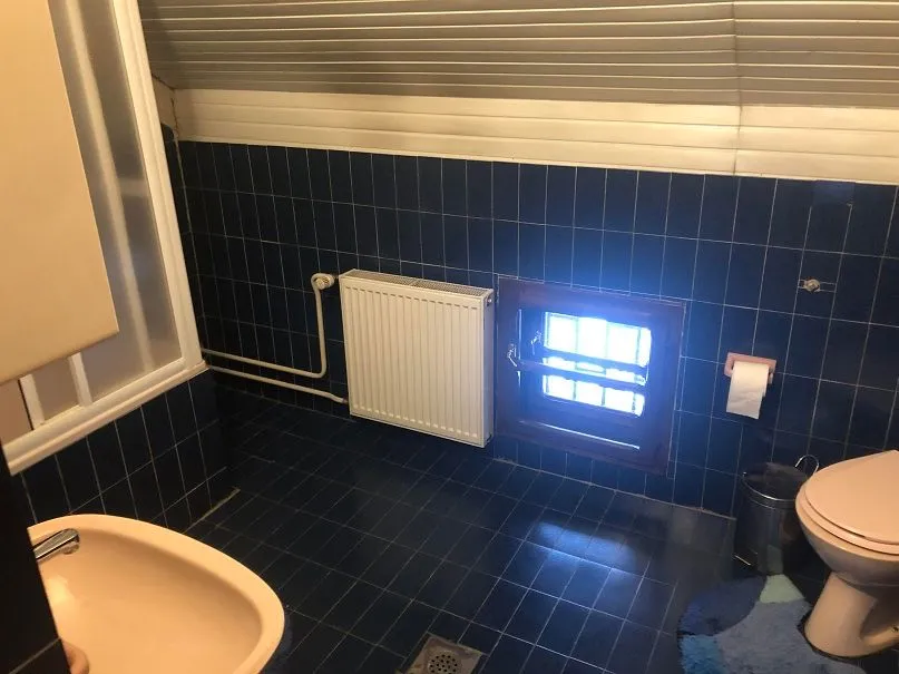 Izdavanje, kuća, 330m², Savski Venac, Beograd
