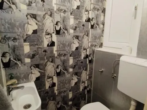 Izdavanje, dvosoban stan, 75m², Vračar Centar, Vračar Sve Podlokacije - image 12