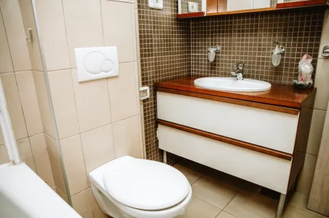 A bathroom with a sink and a toilet. - image 13