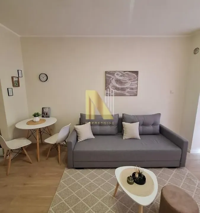 Rent, studio apartment, 303m², Socijalno, Novi Sad Sve Podlokacije