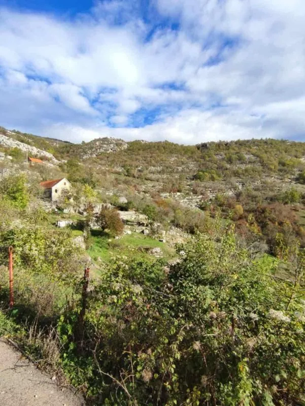 Prodaja, plac, 26000m², Cetinje, Crna Gora