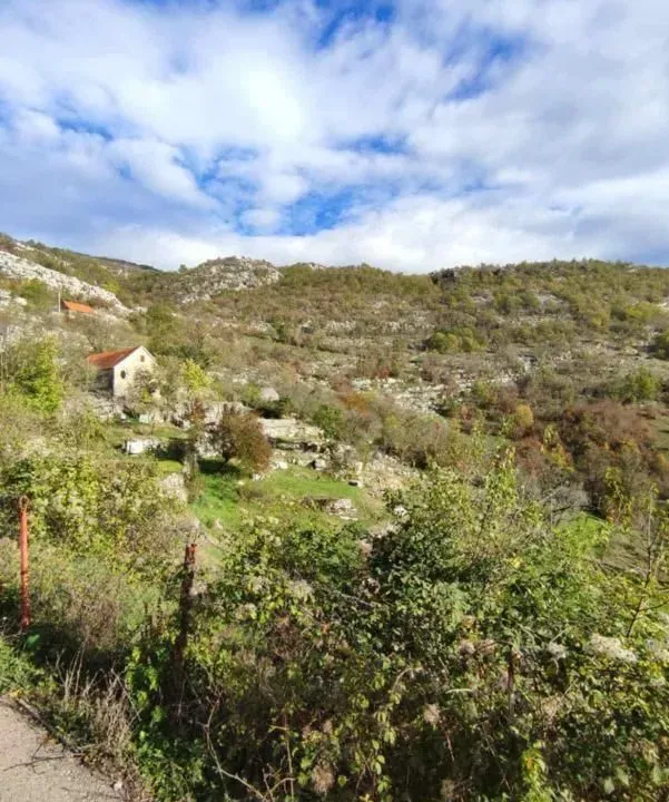 Sale, land lot, 26000m², Cetinje, Crna Gora