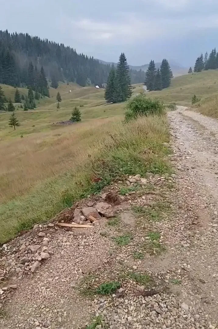 Prodaja, plac, 170000m², Žabljak, Crna Gora