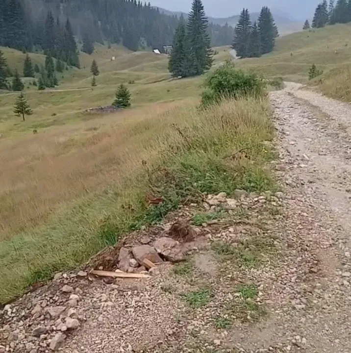 Sale, land lot, 170000m², Žabljak, Crna Gora