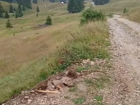 Sale, land lot, 170000m², Žabljak, Crna Gora