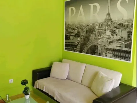 Rent, one bedroom apartment, 36m², Adamovićevo Naselje, Novi Sad Sve Podlokacije - image 2