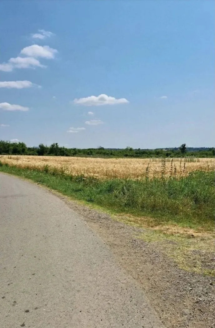 Prodaja, plac, 6000m², Veliki Borak, Barajevo