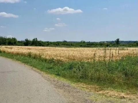 Sale, land lot, 6000m², Veliki Borak, Barajevo - image 5