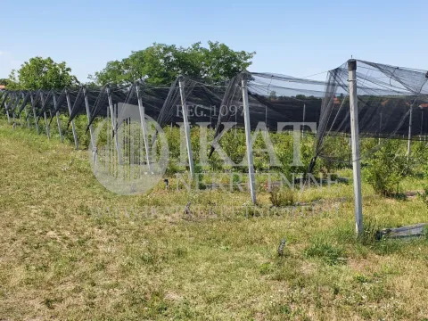 Prodaja, plac, 9000m², Nemenikuće, Sopot - image 3