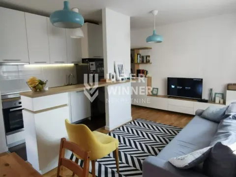 Rent, one bedroom apartment, 41m², Zemun Gornji Grad, Zemun Sve Podlokacije - image 2