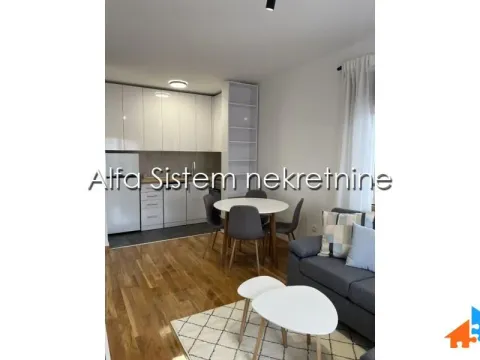 Rent, two bedroom apartment, 43m², Vračar Sve Podlokacije, Beograd - image 6