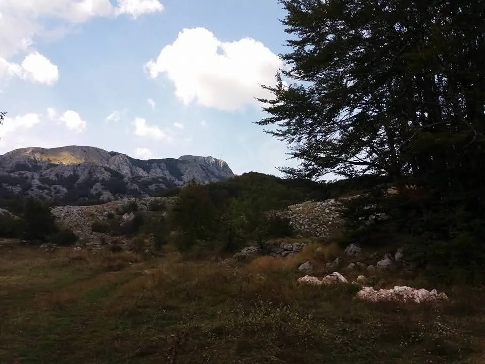 Prodaja, plac, 20000m², Cetinje, Crna Gora