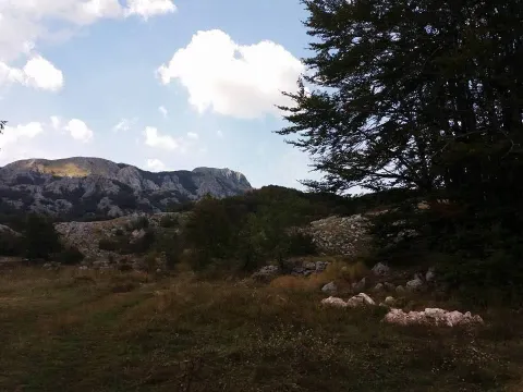 Prodaja, plac, 20000m², Cetinje, Crna Gora - image 5