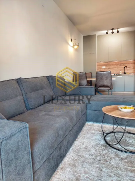 Izdavanje, jednosoban stan, 50m², Master Kvart, Podgorica