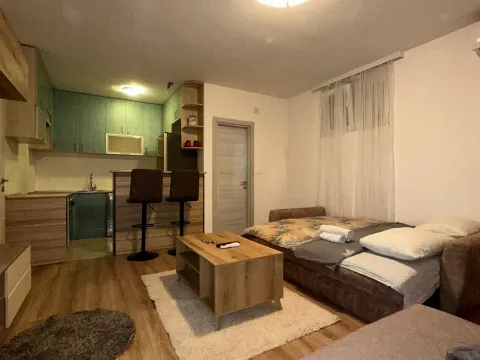 Daily-rent, one bedroom apartment, 30m², Central Point, Podgorica - image 4