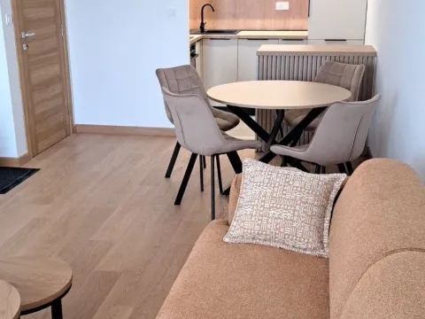 Rent, one bedroom apartment, 46m², City Kvart, Podgorica - image 7