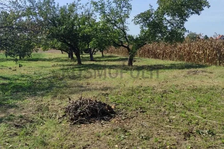 Prodaja, kuća, 120m², Omoljica, Pančevo