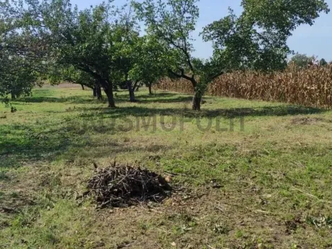 Prodaja, kuća, 120m², Omoljica, Pančevo - image 7