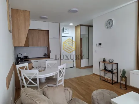 Izdavanje, jednosoban stan, 48m², Stari Aerodrom, Podgorica - image 8