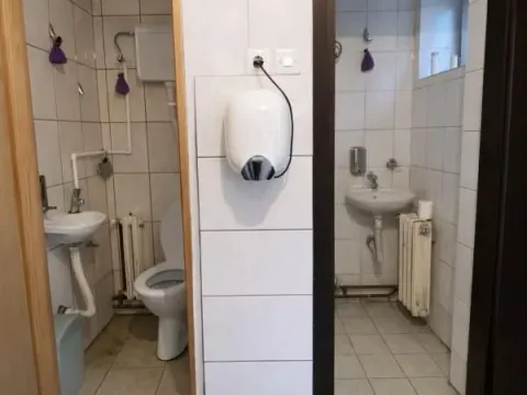 Izdavanje, poslovni prostor, 300m², Petrovaradin, Novi Sad - image 13