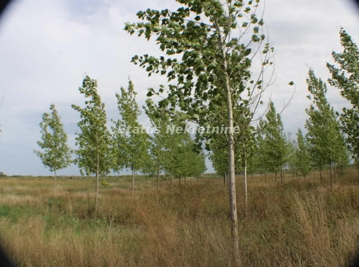Prodaja, plac, 1378m², Zrenjanin, Srbija