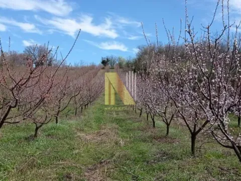 Prodaja, plac, 8200m², Sremski Karlovci, Novi Sad - image 7