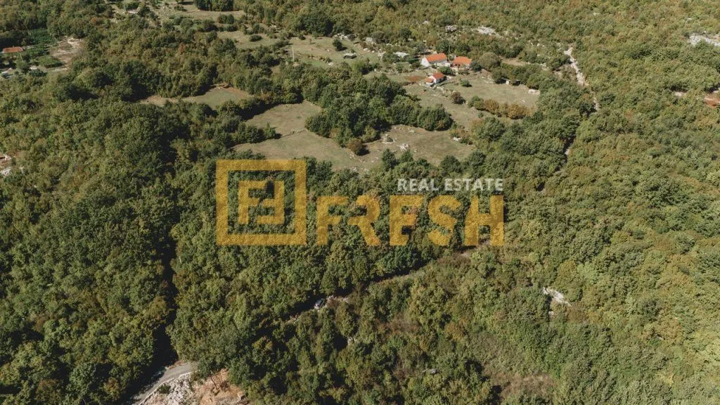 Prodaja, plac, 15000m², Danilovgrad, Crna Gora
