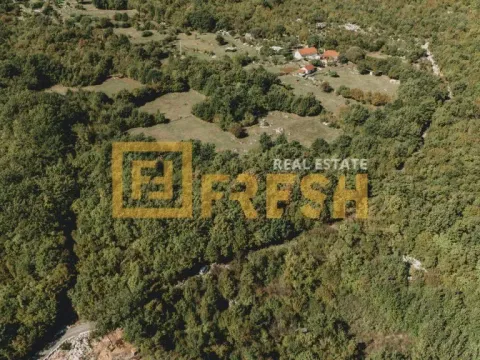 Prodaja, plac, 15000m², Danilovgrad, Crna Gora - image 1