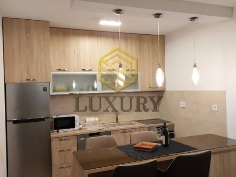 Izdavanje, jednosoban stan, 50m², Zabjelo, Podgorica - image 4