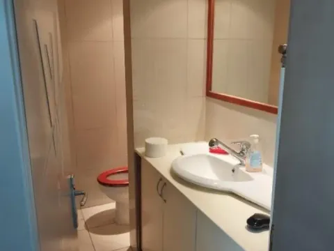 Izdavanje, poslovni prostor, 170m², Botanička Bašta, Palilula Sve Podlokacije - image 11