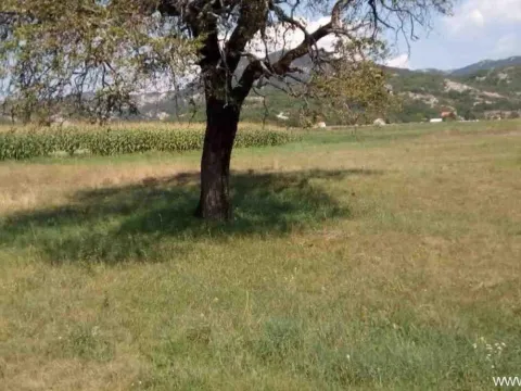 Sale, land lot, 8500m², Grahovo, Nikšić - image 5