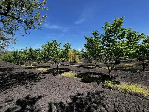 Sale, land lot, 190m², Kikinda, Srbija - image 26