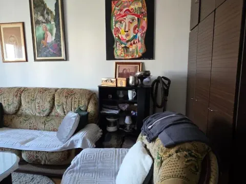 Prodaja, stan, 35m², Zabjelo, Podgorica - image 7