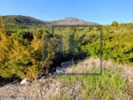 Sale, land lot, 30414m², Lješanska Nahija, Podgorica - image 4