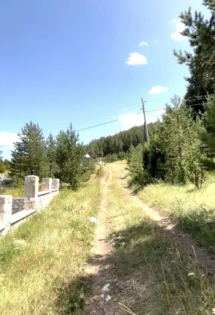 Prodaja, plac, 1193m², Borje, Žabljak