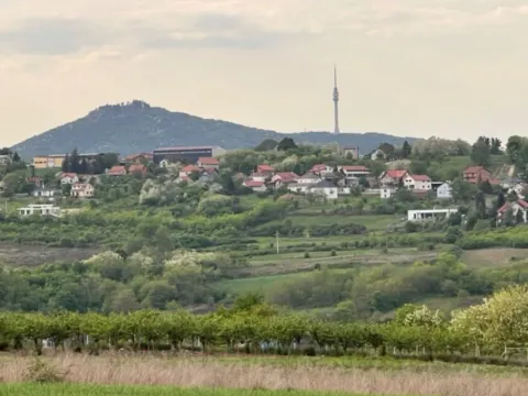 Prodaja, plac, 8900m², Vrčin, Grocka - image 9