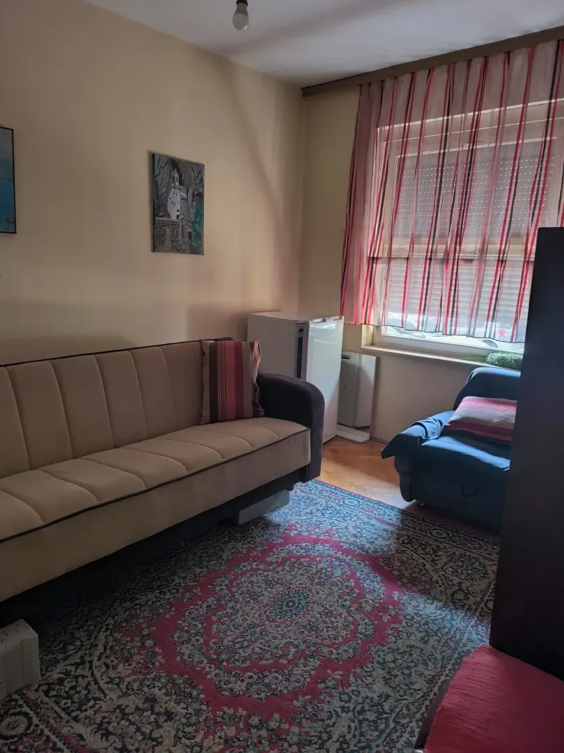 Dnevna soba sa garniturom za sjedenje, tepihom i prozorom.