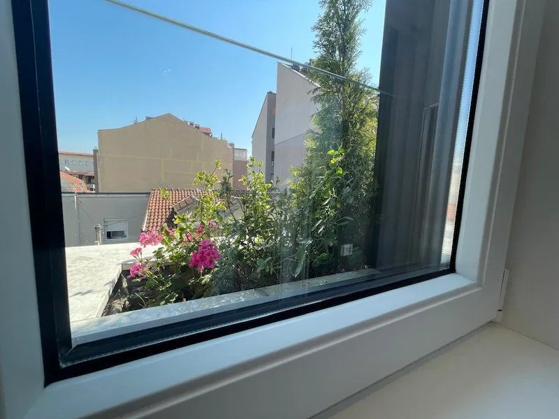 View through the window of surrounding buildings and a green terrace with flowers.