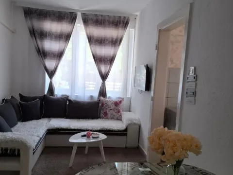 Izdavanje, jednosoban stan, 35m², Pobrežje, Podgorica - image 4