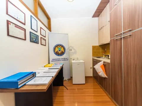 Izdavanje, poslovni prostor, 42m², Centar, Podgorica - image 11