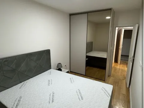 Rent, one bedroom apartment, 42m², Central Point, Podgorica - image 1