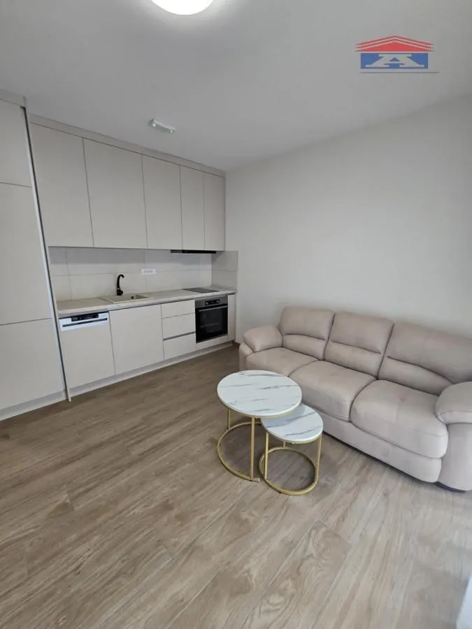 Izdavanje, jednosoban stan, 30m², Sremska Kamenica, Petrovaradin