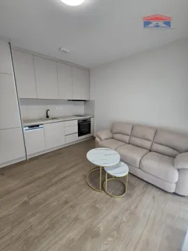 Izdavanje, jednosoban stan, 30m², Sremska Kamenica, Petrovaradin - image 4