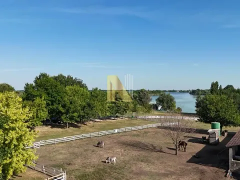 Sale, house, 230m², Srbobran, Novi Sad - image 71