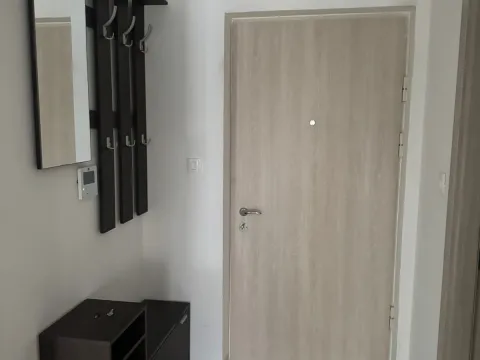 Rent, one bedroom apartment, 45m², Pobrežje, Podgorica - image 10