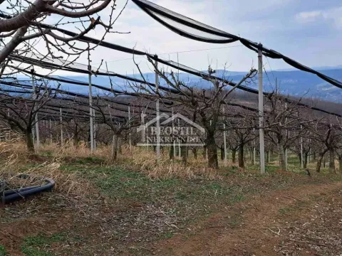 Prodaja, plac, 32477m², Begaljica, Grocka - image 3