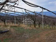 Prodaja, plac, Begaljica, Grocka - image 3