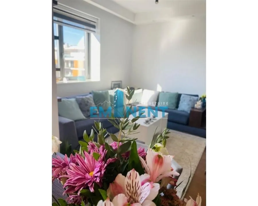 Izdavanje, dvosoban stan, 50m², Novi Beograd Blok 65, Novi Beograd Sve Podlokacije