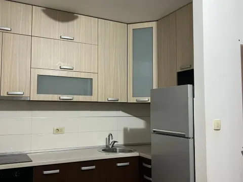 Izdavanje, jednosoban stan, 46m², Stari Aerodrom, Podgorica - image 4