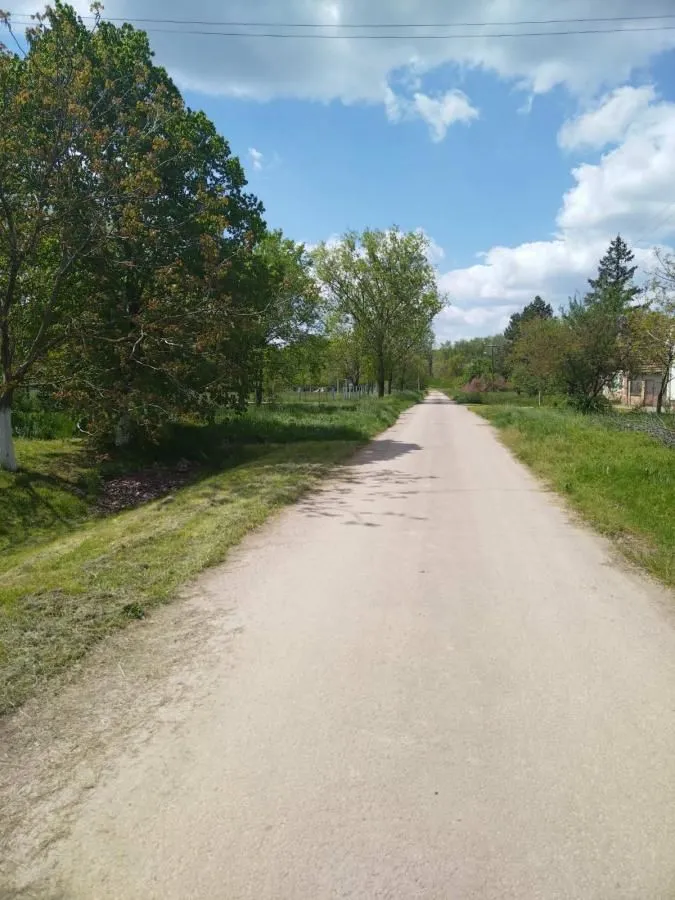 Prodaja, kuća, 130m², Taraš, Zrenjanin